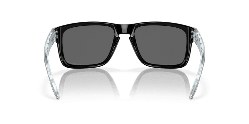 Oakley Holbrook Introspect Collection